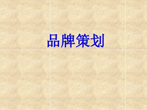 品牌定位策划ppt课件