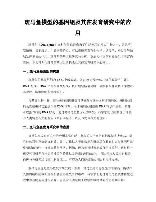 斑马鱼模型的基因组及其在发育研究中的应用