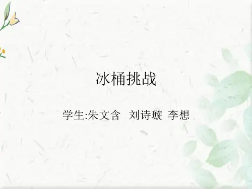 冰桶ppt下载