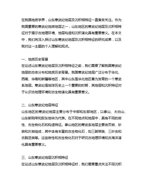 山东寒武纪地层及沉积相特征研究报告