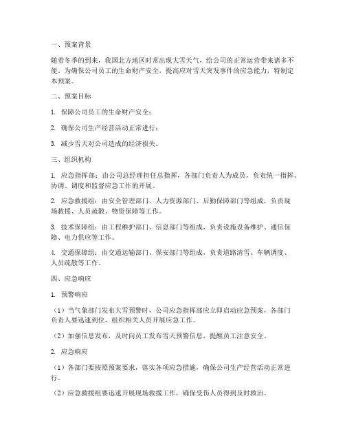 雪天公司应急预案