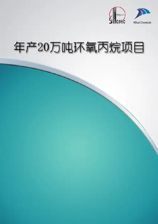 年产 20 万吨环氧丙烷项目-环境影响评价报告