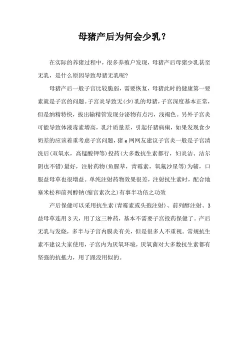 母猪产后为何会少乳？