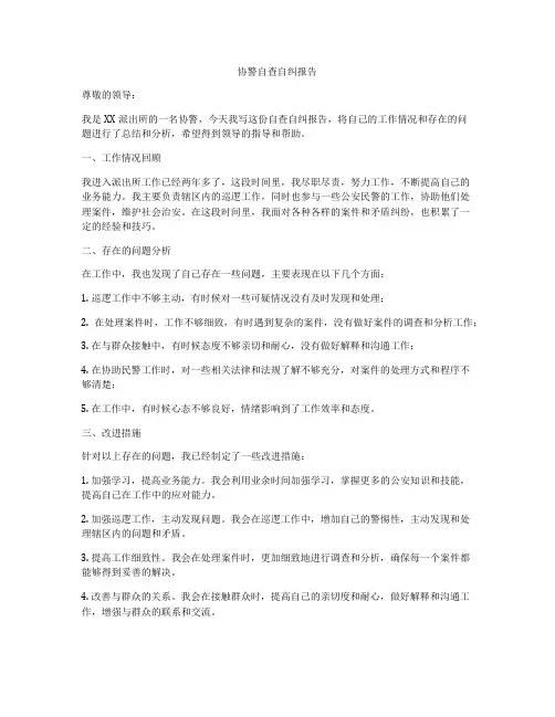 协警自查自纠报告