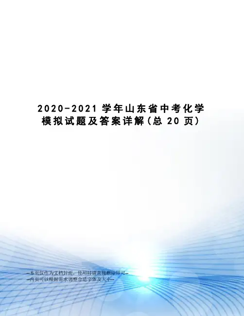 2020-2021学年山东省中考化学模拟试题及答案详解