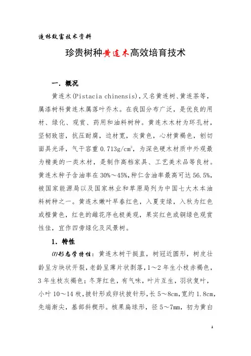 造林致富技术资料珍贵树种黄连木高效培育技术