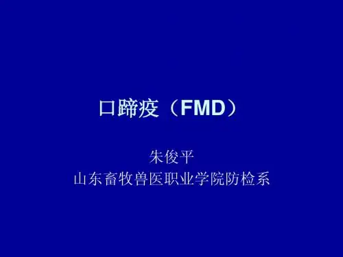 口蹄疫——新