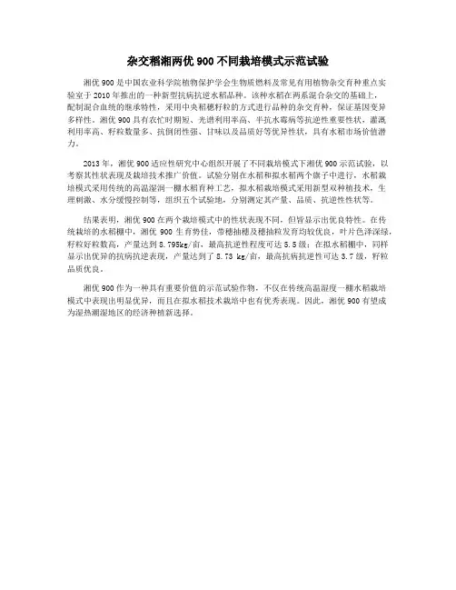 杂交稻湘两优900不同栽培模式示范试验