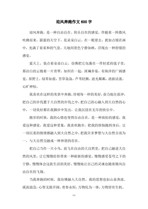 迎风奔跑作文600字