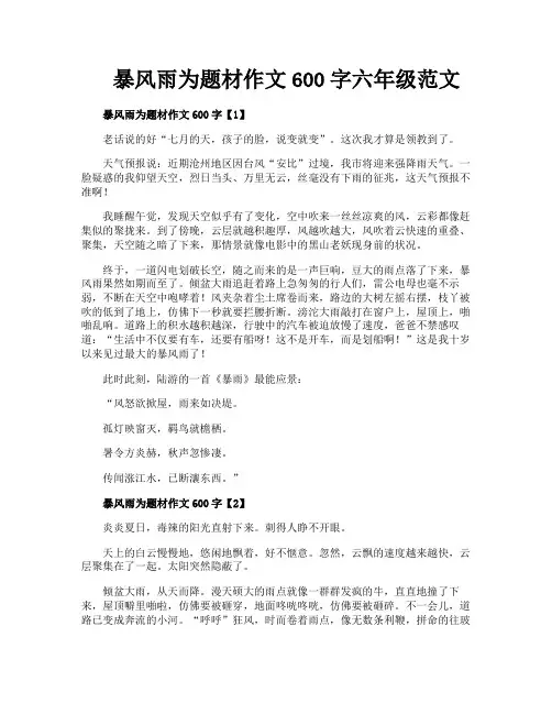 暴风雨为题材作文600字六年级范文