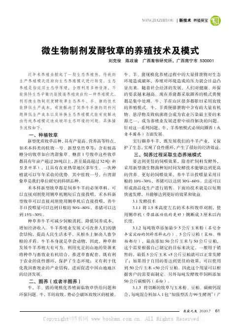 微生物制剂发酵牧草的养殖技术及模式