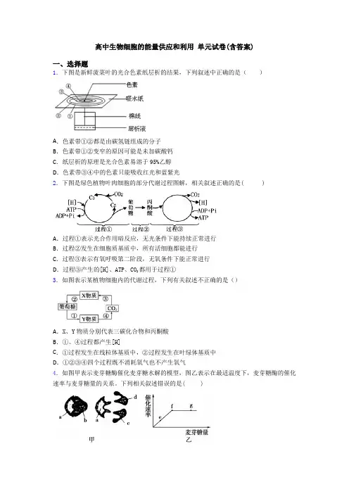 高中生物细胞的能量供应和利用 单元试卷(含答案)
