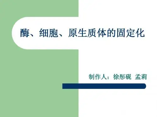 酶、细胞、原生质体的固定化-PPT课件