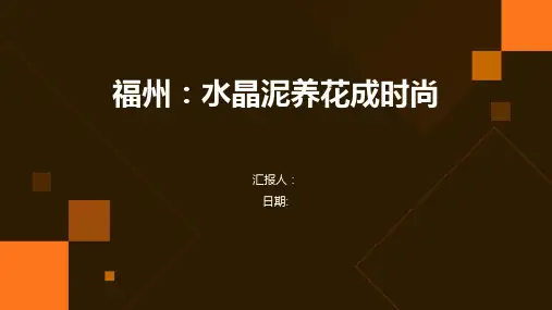 福州：水晶泥养花成时尚