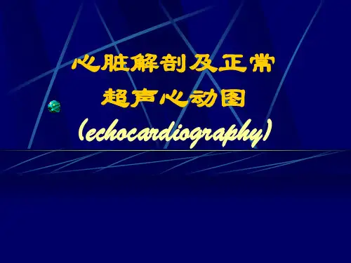 心脏解剖及正常超声心动图
