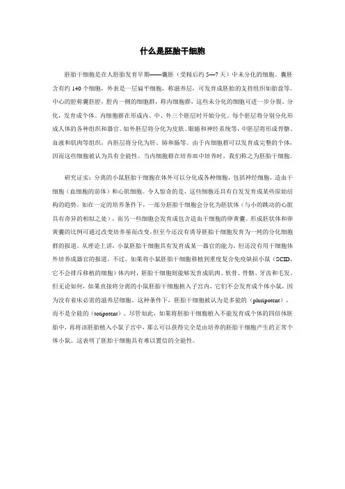 什么是胚胎干细胞