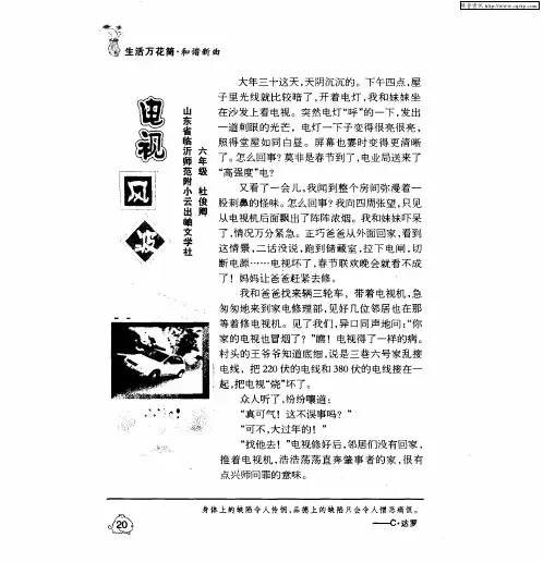 电视风波