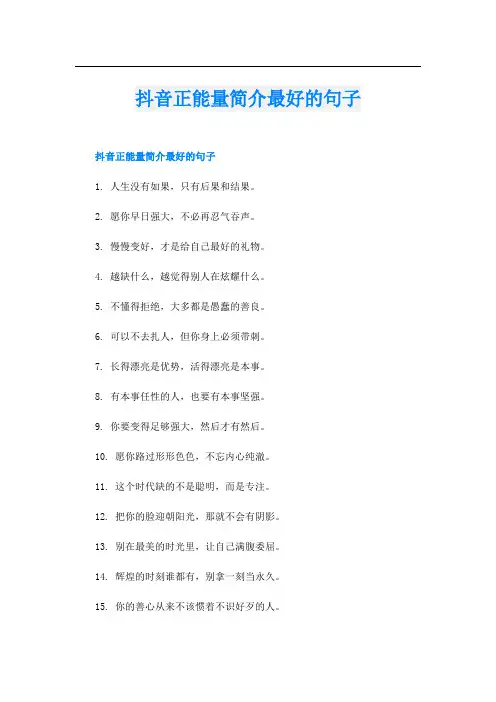 抖音正能量简介最好的句子