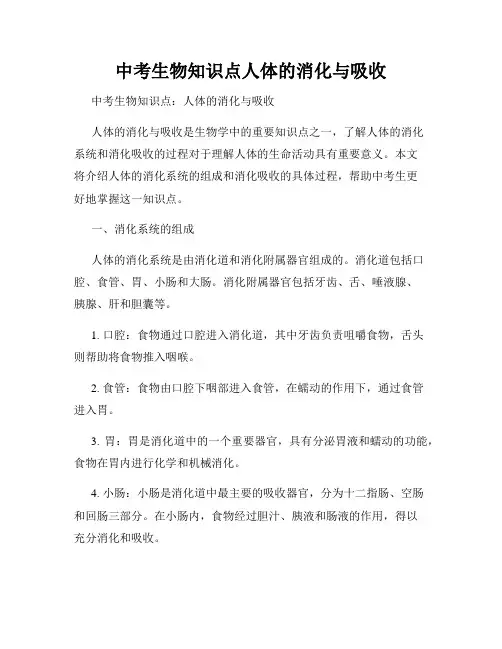 中考生物知识点人体的消化与吸收