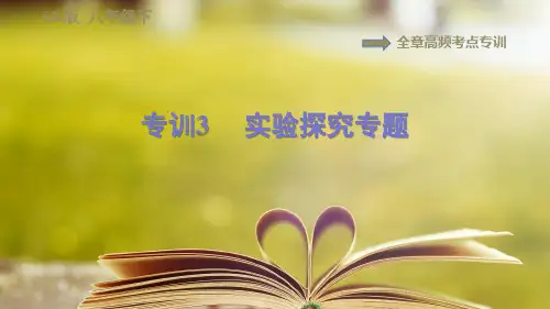 苏科版物理八年级下册第十章全章高频考点专训  专训3  实验探究专题