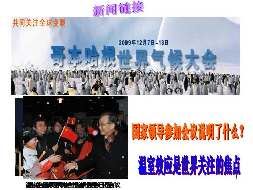 生物与环境专题复习ppt课件