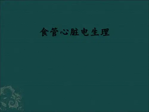 食管心脏电生理PPT课件