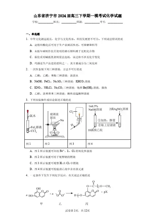 山东省济宁市2024届高三下学期一模考试化学-试题含解析