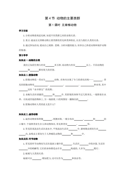 【北师版八年级生物下册导学案】第22章 物种的多样性 第4节 动物的主要类群