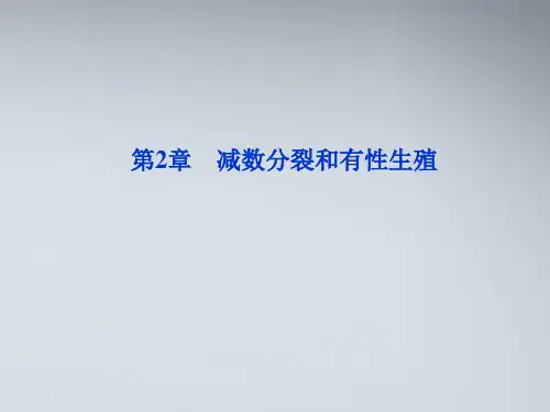 【优化方案】江苏专用2012高考生物总复习 第2章减数分裂和有性生殖课件 苏教版必修2
