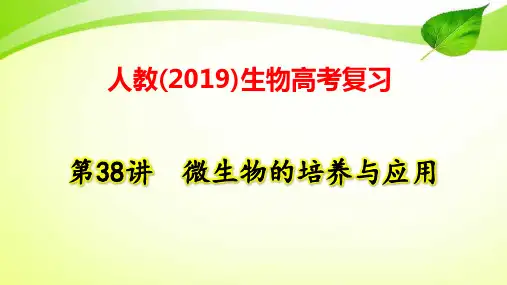 人教(2019)生物高考复习：第38讲 微生物的培养与应用
