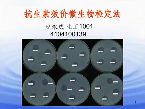 《抗生素效价的测定》PPT课件