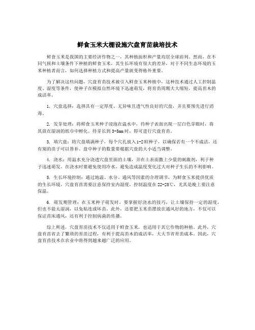 鲜食玉米大棚设施穴盘育苗栽培技术