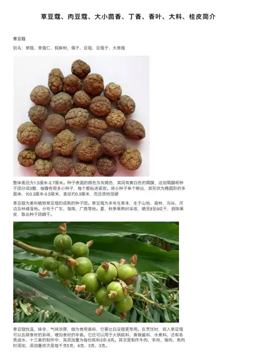 草豆蔻、肉豆蔻、大小茴香、丁香、香叶、大料、桂皮简介
