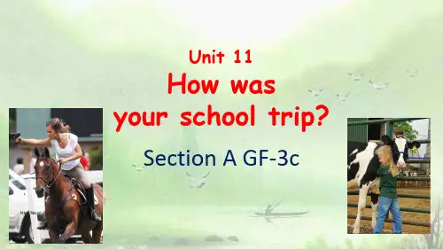人教版七年级英语下册 Unit 11   SectionA GF-3c(PPT21张)