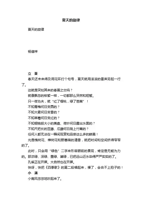 夏天的旋律