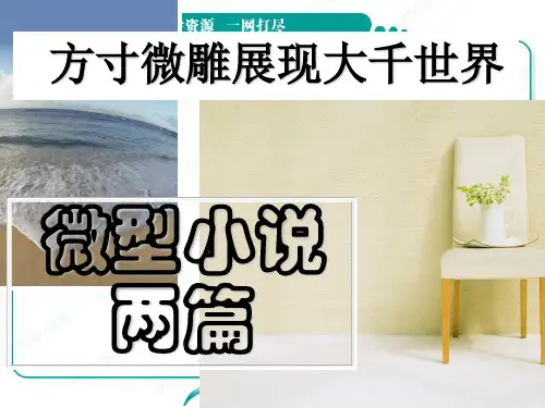 语文：3.11《微型小说两篇》课件(2)(粤教版必修3)