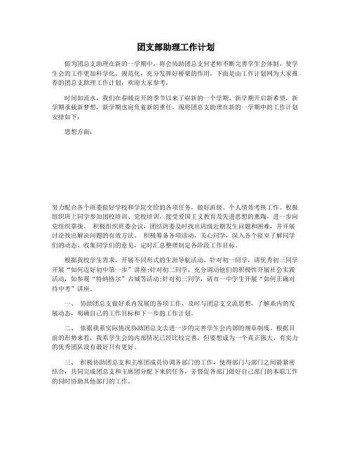 团支部助理工作计划