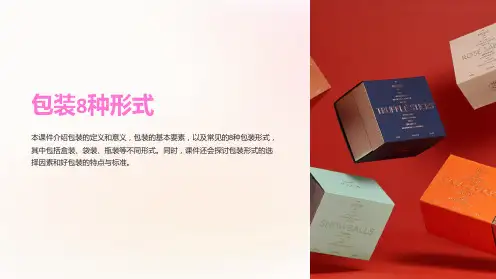 《包装8种形式》课件