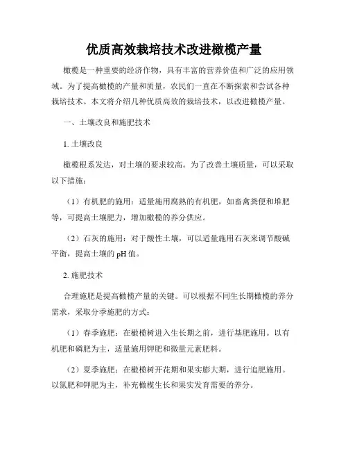 优质高效栽培技术改进橄榄产量