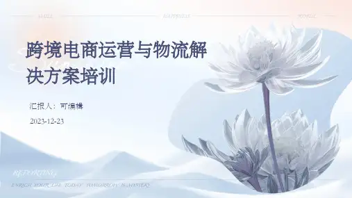 跨境电商运营与物流解决方案培训ppt