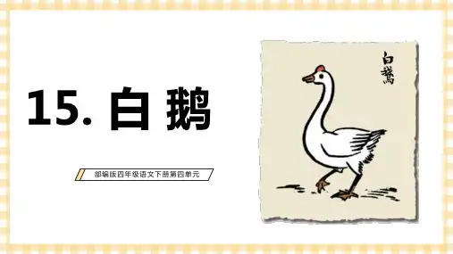 白鹅ppt课件