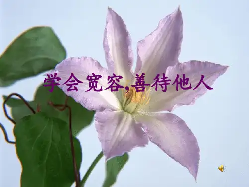 宽容主题班会 ppt课件