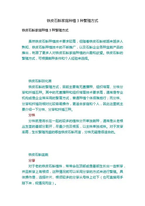 铁皮石斛家庭种植3种繁殖方式