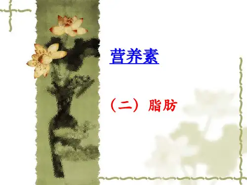 脂肪