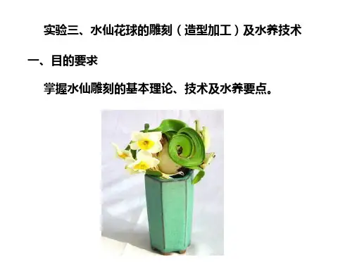 3水仙花球的雕刻(造型加工)及水养技术