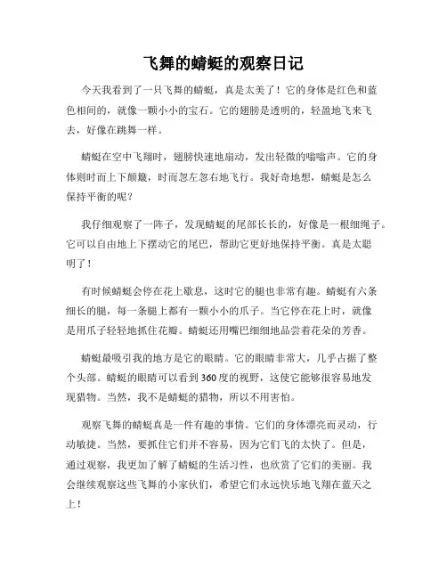 小学三年级作文飞舞的蜻蜓的观察日记