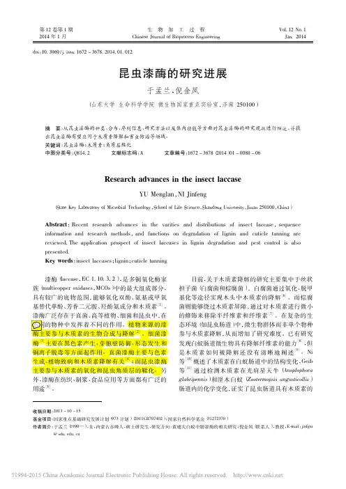 昆虫漆酶的研究进展_于孟兰
