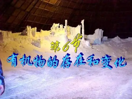 华师大九年级科学有机物的存在和变化