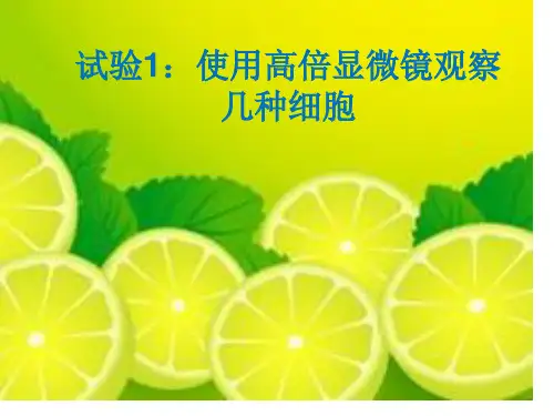 实验使用高倍显微镜观察几种细胞