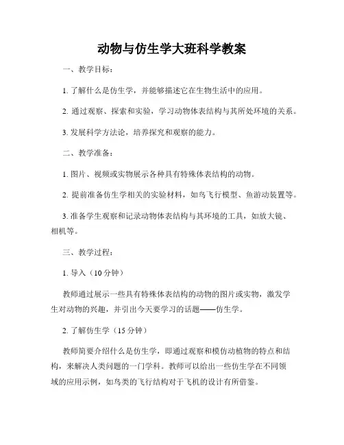 动物与仿生学大班科学教案
